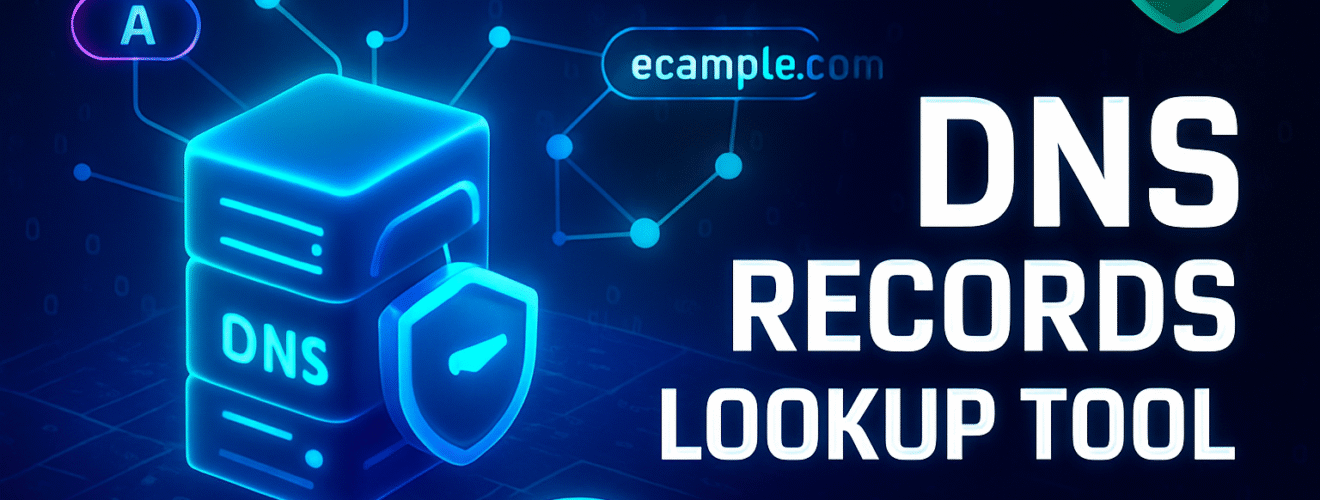 DNS Records Lookup Tool
